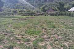 WhatsApp-Image-2026-01-19-at-15.06.57