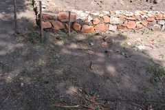 WhatsApp-Image-2026-01-25-at-10.15.36-1