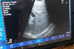 foto-3