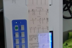 foto_5